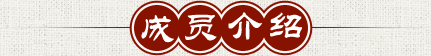 东莞太极拳培训